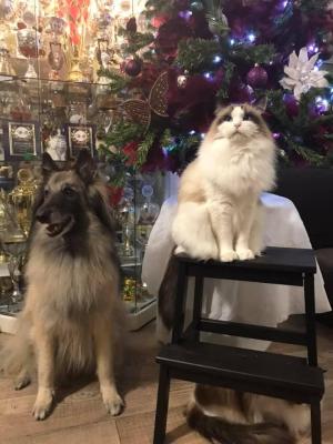 Gaïa et Iwok - 2020