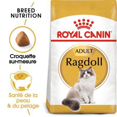 Croquettes 1