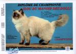 Championnat de France