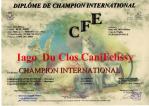 Championnat Internationnal