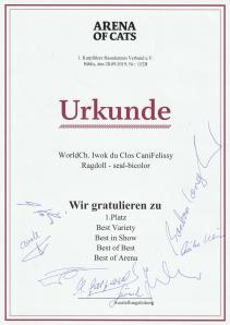 Best of Arena - Biblis 2019
