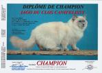 Champion - LOOF
