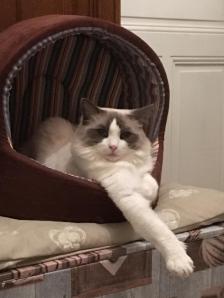 Hermès