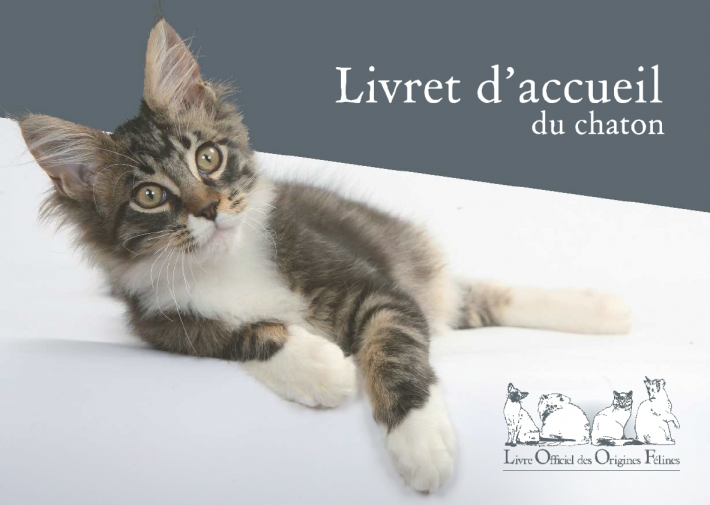 livret-chaton-1.png