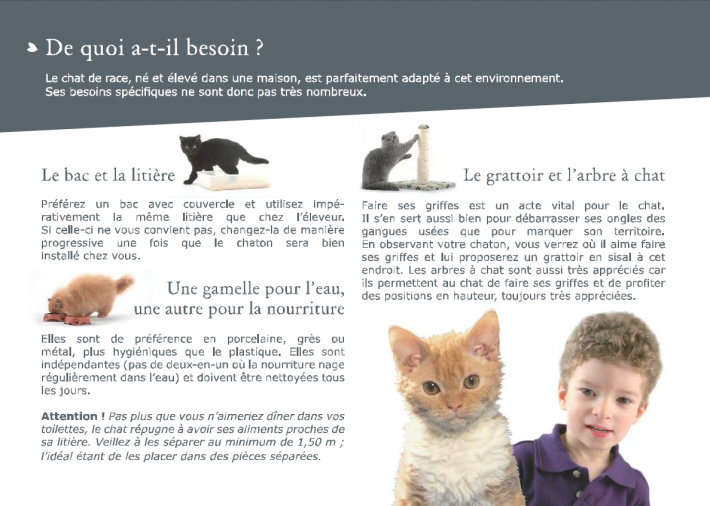 livret-chaton-3.png