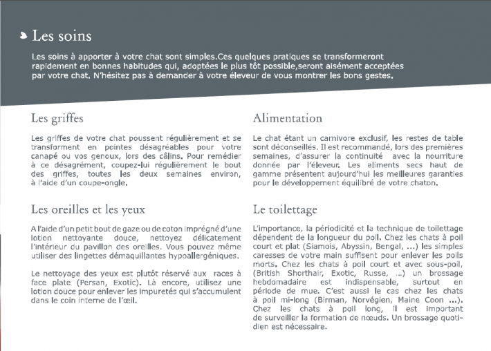 livret-chaton-5.png