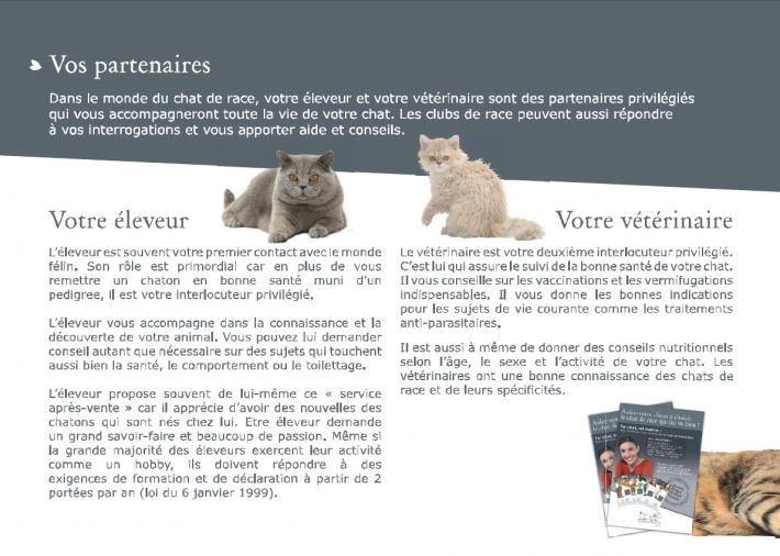 livret-chaton-6.png