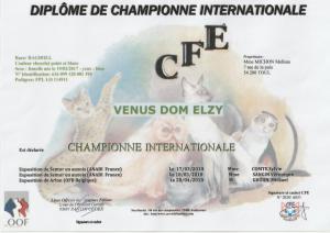 Nanouck diplome cacib