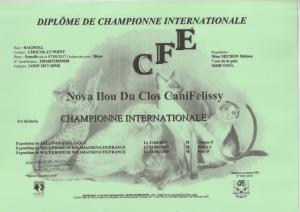 Nova champ inter