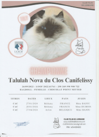 Talulah - CAC