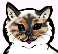 Torbie guide