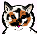 Tortie guide